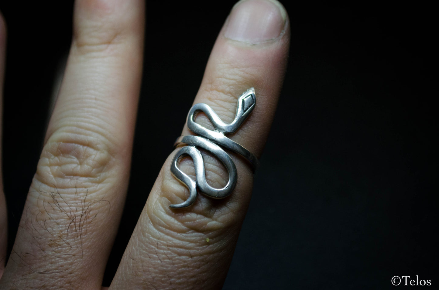 Sterling Silver Snake Ring