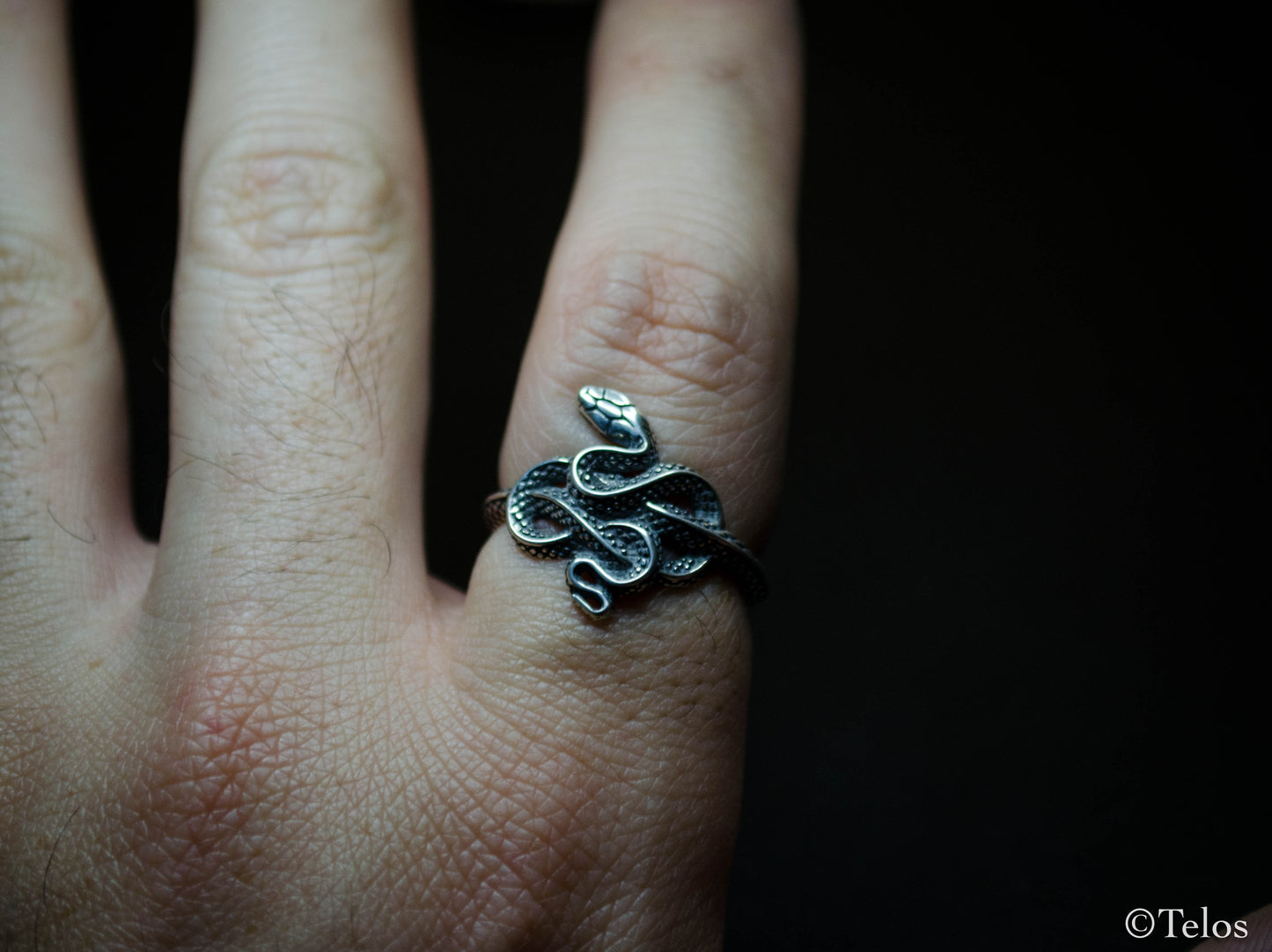 Sterling Silver Snake ring