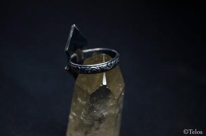 Sterling Silver Garnet ring